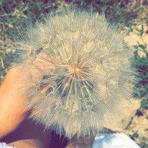 Meet your Posher, Isabella